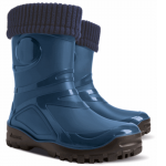 Демисезонные сапоги Demar YOUNG 2 FUR 0466A (синие)