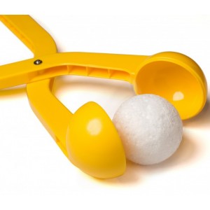 Сніжколіп маленький жовтий